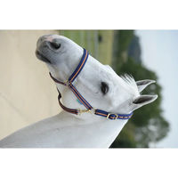 Produktbild von Bucas Dublin Ponyhalfter Blau-Orange