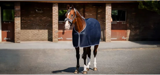 Produktbild von Bucas Emerald Stalldecke für Pferde aus Wolle in Blau