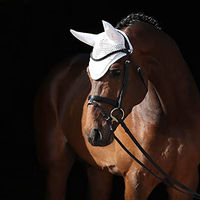 Produktbild von Bucas Fliegenhaube für Pferde Weiß
