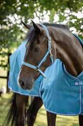 Bucas Foal Halter Dublin Fohlenhalfter Blueberry – Bild 1 von 1