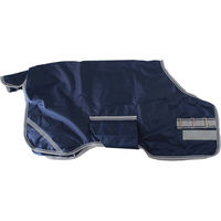 Produktbild von Bucas Foal Turnout Regendecke für Fohlen in Navy Silver/Navy aus Polyester - 50 g