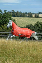 Bucas Freedom Fly Sheet Full Neck Insektenschutzdecke für Pferde Grenadine 145 – Bild 1 von 1