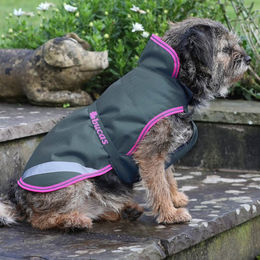 Bucas Freedom Hundedecke 300g – Bild 1 von 9
