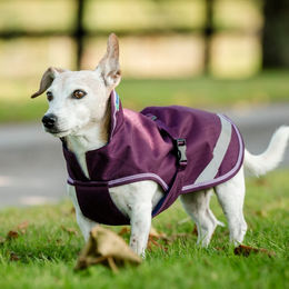 Bucas Freedom Hundedecke Blackberry Größe 55 – Bild 1 von 1