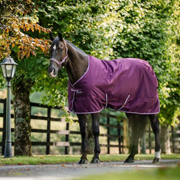 Bucas Freedom Stable Medium Pferdedecke Blackberry Größe 140 mit 150g Füllung – Bild 1 von 1
