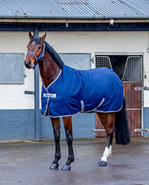 Bucas Freedom Stable Pferdedecke 300g Blau Größe 135 - 300 g – Bild 1 von 3