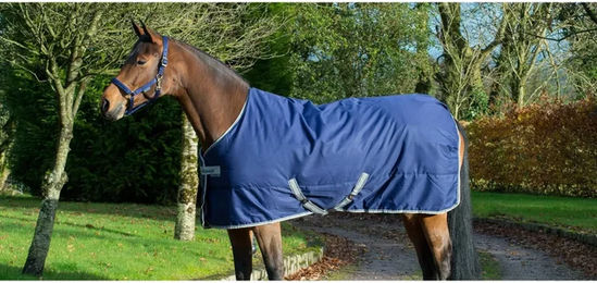 Bucas Freedom Stable Pferdestalldecke in Navy Blau Größe M - 150 g – Bild 1 von 3