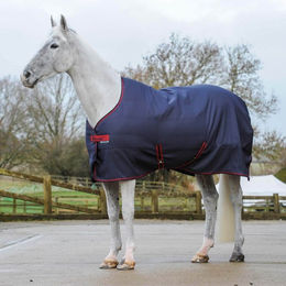 Bucas Freedom Stable Stalldecke für Pferde aus Rip-Stop-Material Grau 140 – Bild 1 von 1