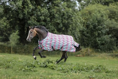 Produktbild von Bucas Freedom to Light Pferdedecke Camouflage Pink Navy