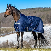 Produktbild von Bucas Freedom Turnout 120 Pferdedecke für Pferde in Navy/Silber - 1 Stk.