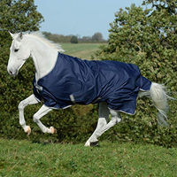 Produktbild von Bucas Freedom Turnout 165 Pferdedecke 150g Navy Silber - 150 g