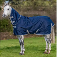 Produktbild von Bucas Freedom Turnout 300 Outdoor-Pferdedecke mit Hals in Blau Größe 120/160