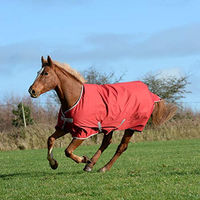 Produktbild von Bucas Freedom Turnout 300 Pferdedecke Chilli Red Größe 125