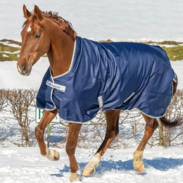 Bucas Freedom Turnout High Neck Weidedecke 150g Navy/Silber Größe 130 - 150 g – Bild 1 von 5
