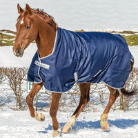 Produktbild von Bucas Freedom Turnout High Neck Weidedecke 150g Navy/Silber Größe 130 - 150 g