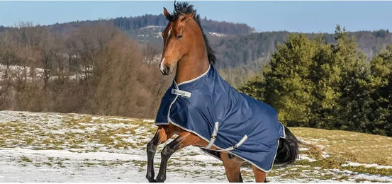 Bucas Freedom Turnout High Neck Weidedecke für Pferde 150g Blau Silber Größe 145 - 150 g – Bild 1 von 5