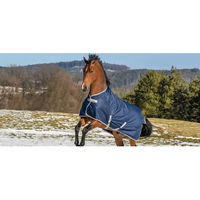 Produktbild von Bucas Freedom Turnout High Neck Weidedecke für Pferde 150g Blau Silber Größe 145 - 150 g