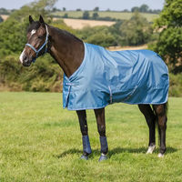 Produktbild von Bucas Freedom Turnout Light 0g Outdoor-Pferdedecke Blau 145 cm