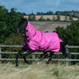 Produktbild von Bucas Freedom Turnout Light Full Neck Pferdedecke in Rosa