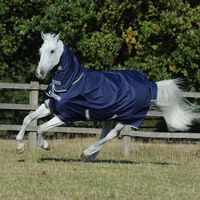 Produktbild von Bucas Freedom Turnout Light High Neck Outdoor-Pferdedecke Blau Größe 135