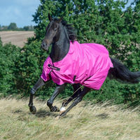 Produktbild von Bucas Freedom Turnout Light Pferdedecke aus Polyester 140 cm