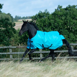 Bucas Freedom Turnout Light Pferdedecke aus Polyester – Bild 1 von 8