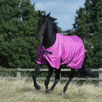 Produktbild von Bucas Freedom Turnout Light Pferdedecke aus Polyester