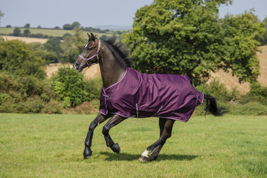Bucas Freedom Turnout Light Pferdedecke aus Ripstop-Gewebe Schwarz 125 cm – Bild 1 von 13