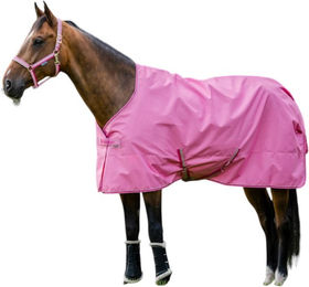Bucas Freedom Turnout Light Regendecke für Pferde Aurora Pink Größe 140 – Bild 1 von 1
