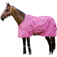 Produktbild von Bucas Freedom Turnout Light Regendecke für Pferde Aurora Pink Größe 140