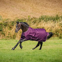 Produktbild von Bucas Freedom Turnout Light Regendecke für Pferde Blackberry 165 cm