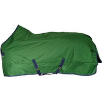 Produktbild von Bucas Freedom Turnout Light Regendecke für Pferde Emerald Grün 140