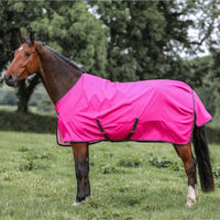 Produktbild von Bucas Freedom Turnout Light Regendecke für Pferde Fuchsia Pink Grösse 165