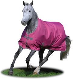 Bucas Freedom Turnout Light Regendecke für Pferde Raspberry 95/105 cm – Bild 1 von 1