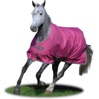 Produktbild von Bucas Freedom Turnout Light Regendecke für Pferde Raspberry Pink Größe 85