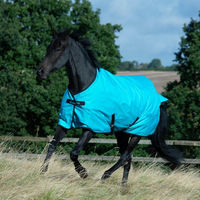 Produktbild von Bucas Freedom Turnout Light Regendecke für Pferde Sweet Blue 155 cm
