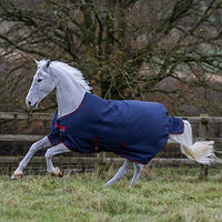 Produktbild von Bucas Freedom Turnout Outdoor Pferdedecke wasserdicht Grau Größe 125/168
