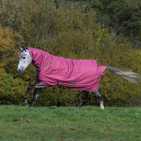 Produktbild von Bucas Freedom Turnout Pferdedecke aus Polyester in Blackberry Rosa 135 cm