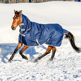 Bucas Freedom Turnout Pferdedecke mit extra langem Hals in Navy Blau 300/150g – Bild 1 von 10