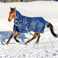 Produktbild von Bucas Freedom Turnout Pferdedecke mit Ganzhalsdeckung Navy Blau