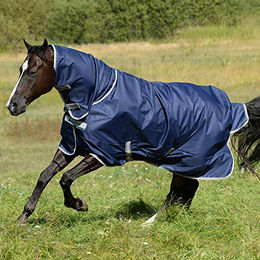 Bucas Freedom Turnout Pferdedecke Navy Blau 130 – Bild 1 von 2