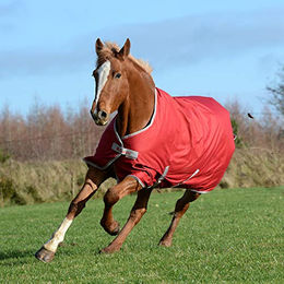 Bucas Freedom Turnout Pony Decke in Chilli Red – Bild 1 von 5