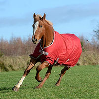 Produktbild von Bucas Freedom Turnout Pony Decke in Chilli Red