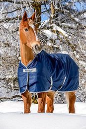 Bucas Freedom Turnout Pony Light Outdoordecke für Pferde in Navy/Silber – Bild 1 von 13