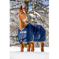 Produktbild von Bucas Freedom Turnout Pony Light Outdoordecke für Pferde in Navy/Silber
