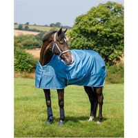 Produktbild von Bucas Freedom Turnout Winterweidedecke für Pferde Blueberry Größe 120 mit 150g Füllung