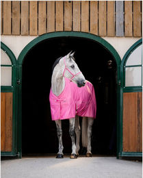 Bucas Freedom Twill Stall- und Transportdecke für Pferde in Rosa – Bild 1 von 2