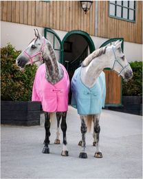 Produktbild von Bucas Freedom Twill Stall- und Transportdecke für Pferde in Türkis