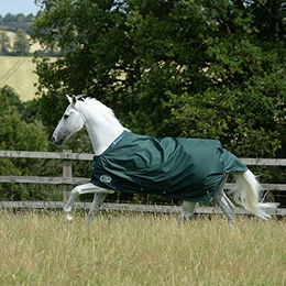 Bucas Green-line 300 Turnout Rug Pferdedecke Grün 165 cm – Bild 1 von 4