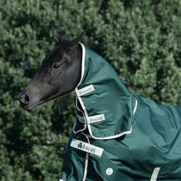 Bucas Greenline Halsdecke für Pferde in Grün aus Polyester Grösse XL - 50 g – Bild 1 von 3